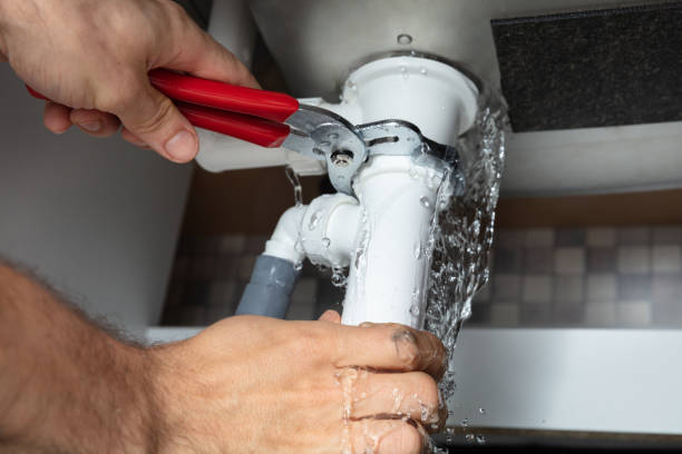 Best Water damage restoration experts  in Sesser, IL