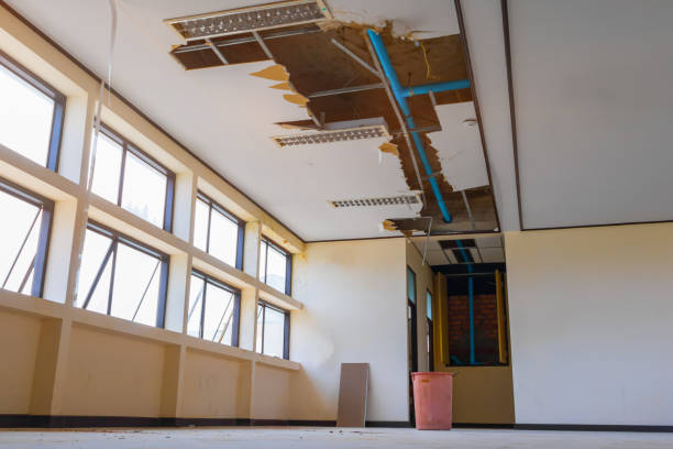 Best Ceiling water damage repair  in Sesser, IL