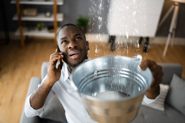 Best Residential water damage restoration  in Sesser, IL