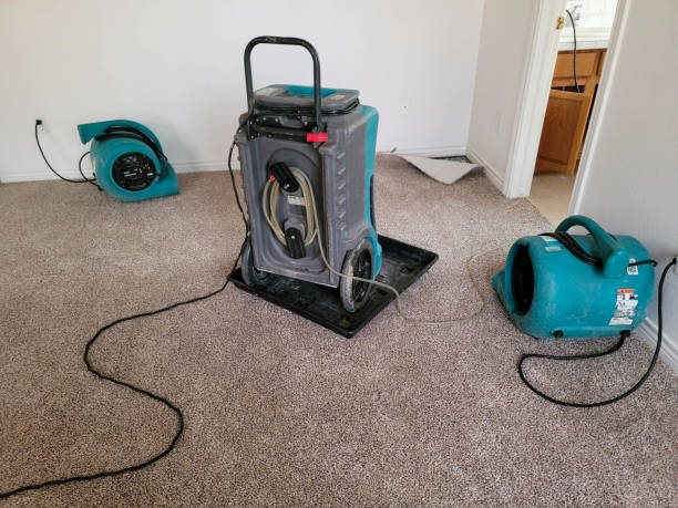 Best Fire Damage Restoration  in Sesser, IL