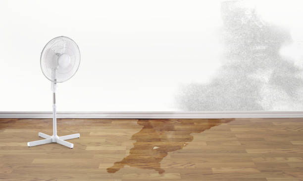 Best Water damage restoration cost  in Sesser, IL
