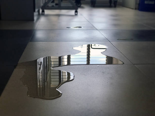 Best Water damage restoration near me  in Sesser, IL