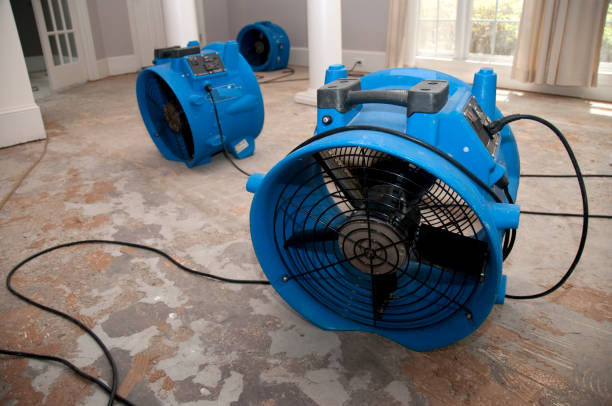Best 24/7 water damage repair  in Sesser, IL