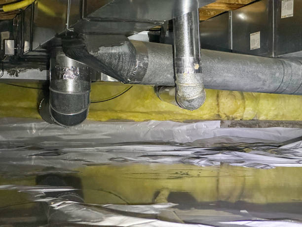  Sesser, IL Water damage restoration Pros
