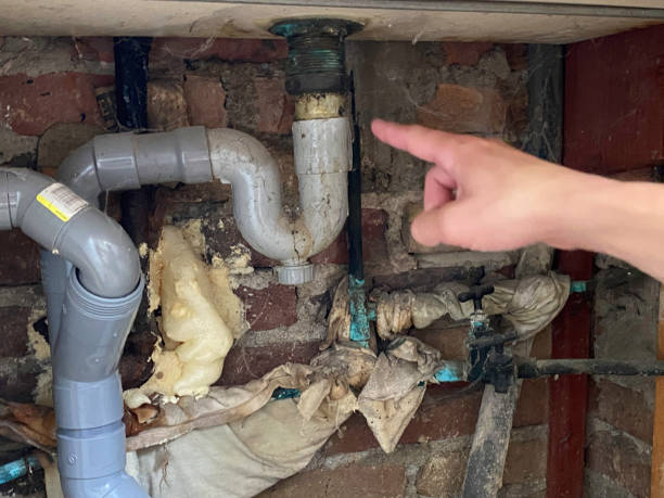 Best Flood damage cleanup  in Sesser, IL