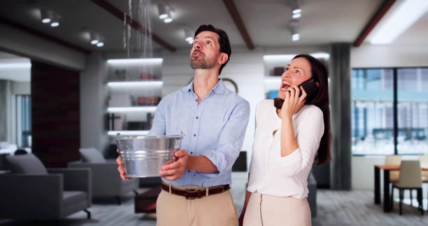 Best Water damage restoration services  in Sesser, IL