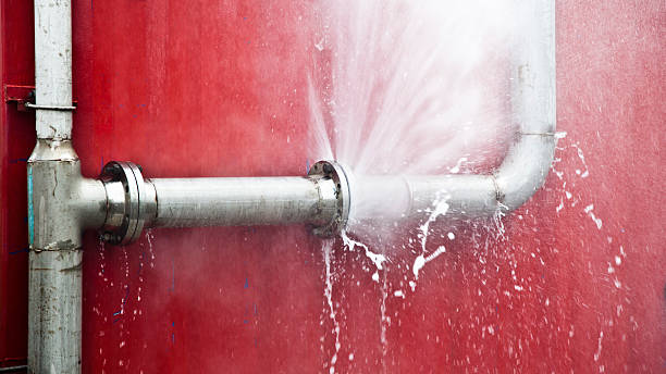 Best Basement water damage restoration  in Sesser, IL