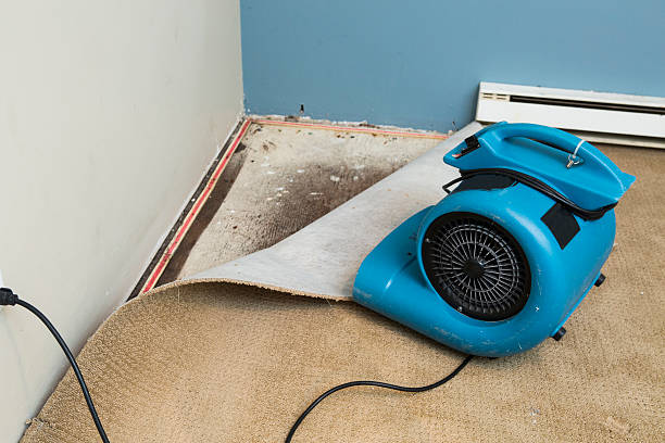 Best 24-hour water damage restoration  in Sesser, IL