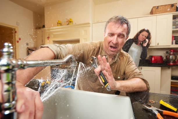 Best Water damage contractors near me  in Sesser, IL